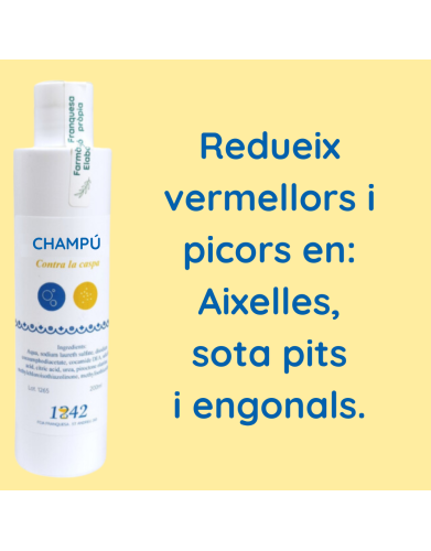 Xampú contra la caspa 1842 redueix rojors i picors en axil·les, sota pits i engonals