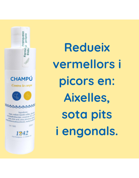 Xampú contra la caspa 1842 redueix rojors i picors en axil·les, sota pits i engonals